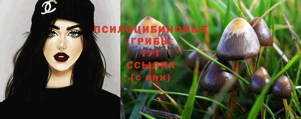 хмурый Дмитриев