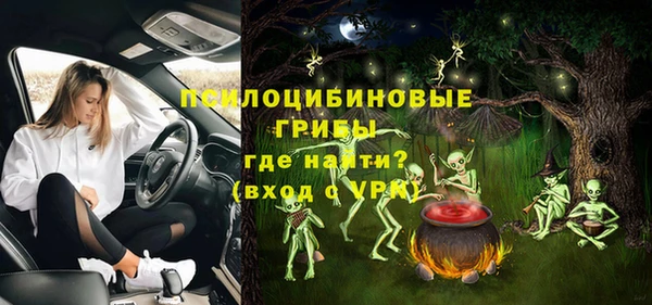 spice Дмитровск