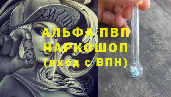 spice Дмитровск