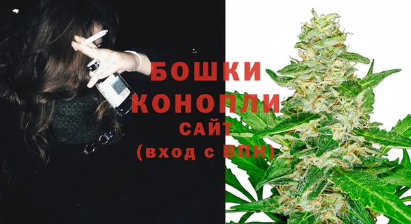 мяу мяу мука Дмитров