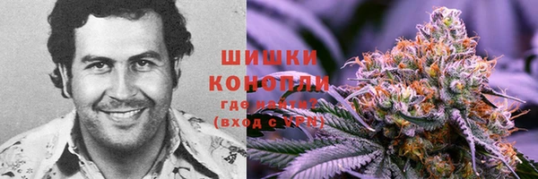 мяу мяу мука Дмитров