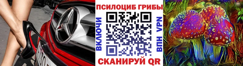 Купить закладки  Камызяк  Галлюциногенные грибы Cubensis 